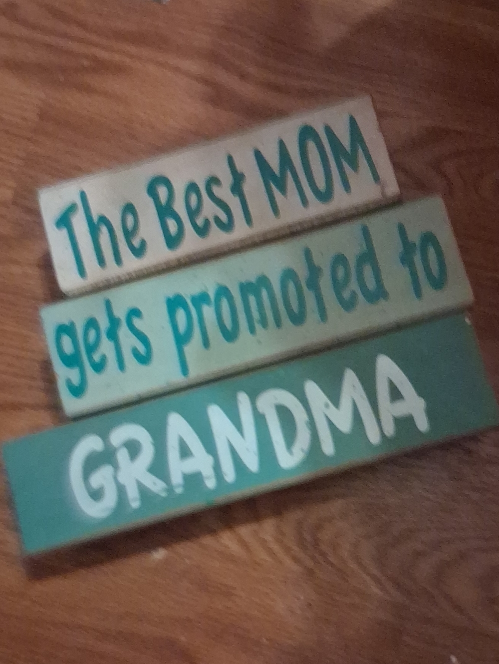 Green and white 'The Best MOM gets promoted to GRANDMA' Rustic Wall Sign